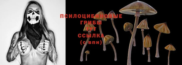 spice Алексин