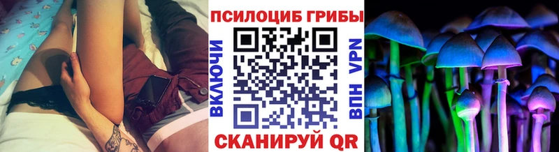 Галлюциногенные грибы Psilocybine cubensis  Судогда 